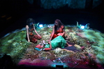 Ophelia: A Prism (2023) Image 28 by Oberlin College Theater